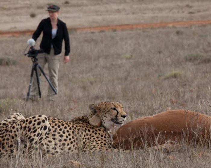 African Wildlife Filmmaking Training Internship Program6
