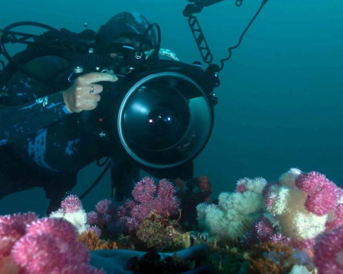 Underwater Photography Training Internship Program2