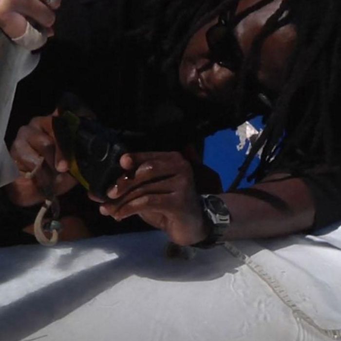 RJ-PL027 Gibbs Kuguru conducts Hammerhead shark research