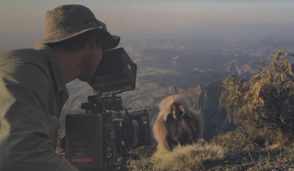 wildlife documentary film crew