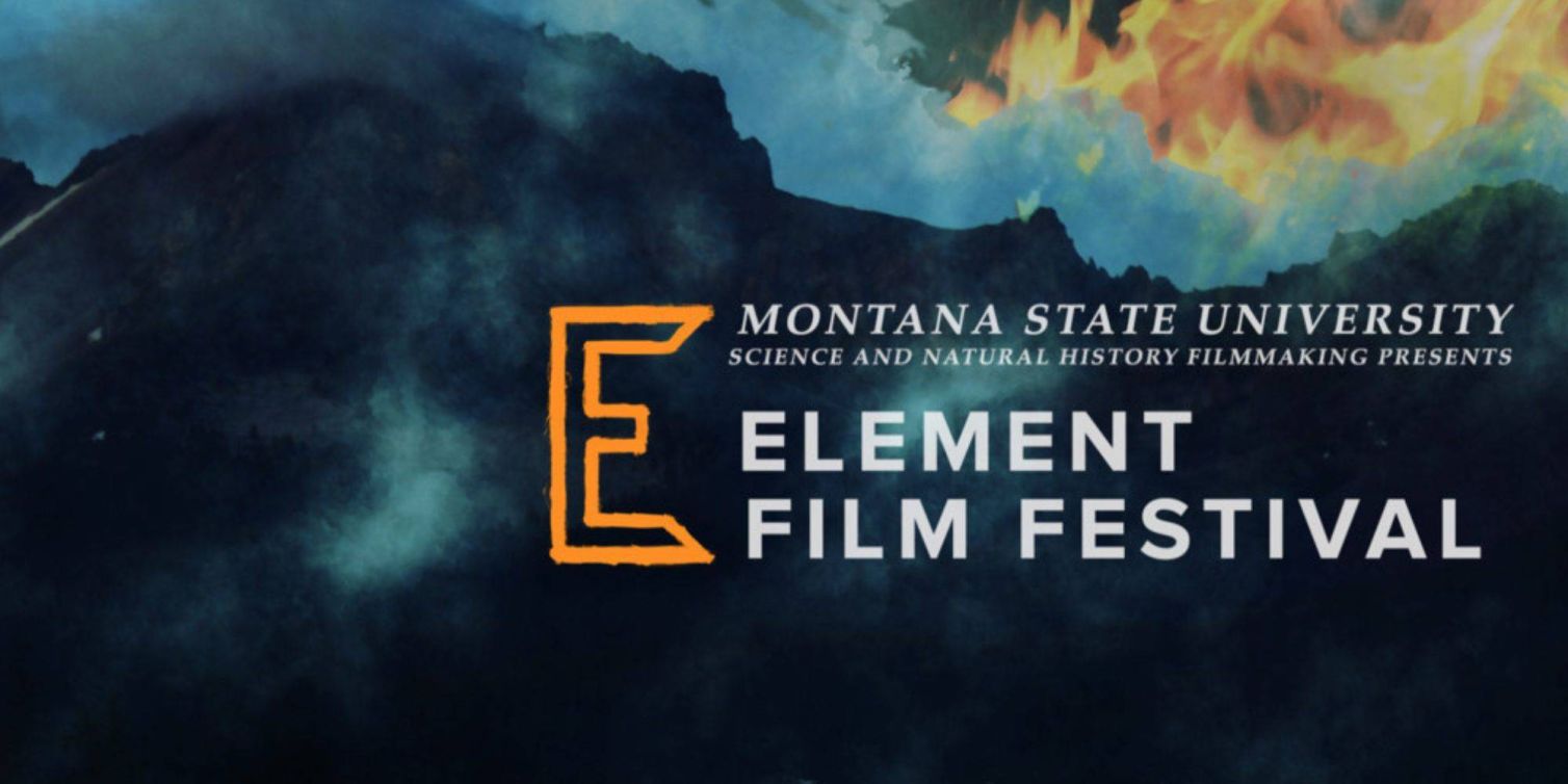 Elements film festival