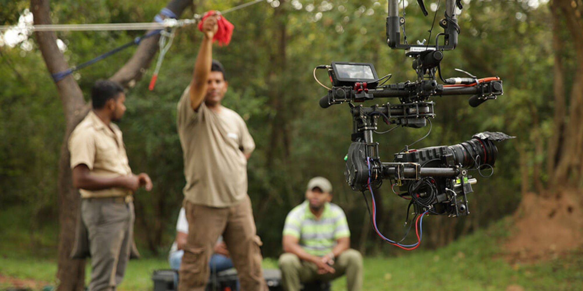 best cameras for wildlife filmmaking - the eye of the beholder