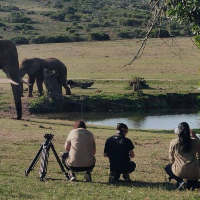 Careers in wildlife filmmaking – how to be successful