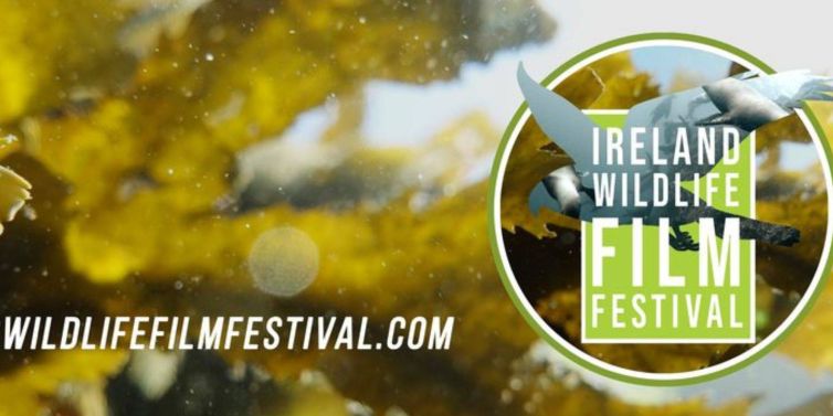 The Ireland Wildlife Film Festival