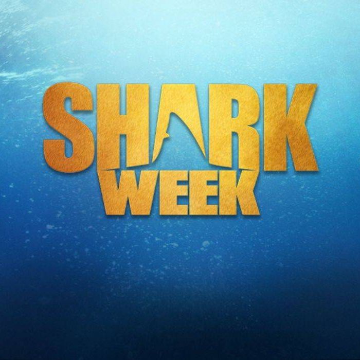 Diving into the Deep: A Guide to Becoming a Shark Week Host